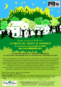 La Magia del Bosco