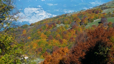 In Montagna con i Bambini